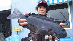 伊豆下田フィッシング 釣果