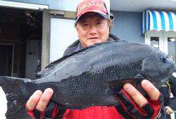 伊豆下田フィッシング 釣果