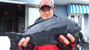 伊豆下田フィッシング 釣果