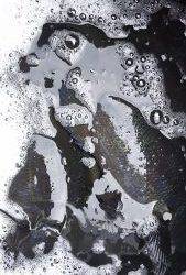 伊豆下田フィッシング 釣果