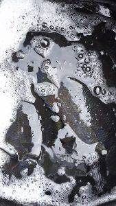 伊豆下田フィッシング 釣果