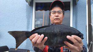 伊豆下田フィッシング 釣果