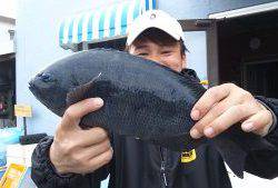 伊豆下田フィッシング 釣果