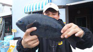 伊豆下田フィッシング 釣果