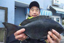 伊豆下田フィッシング 釣果