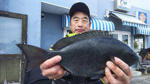 伊豆下田フィッシング 釣果