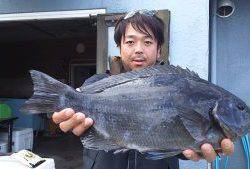 伊豆下田フィッシング 釣果