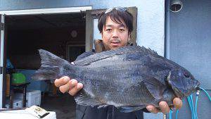 伊豆下田フィッシング 釣果