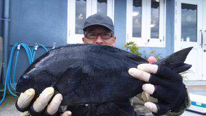 伊豆下田フィッシング 釣果