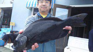 伊豆下田フィッシング 釣果