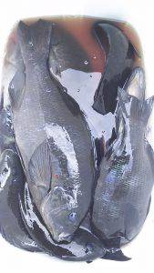 伊豆下田フィッシング 釣果