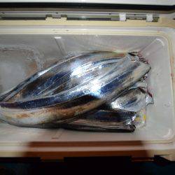 アジアマリンサービス 釣果