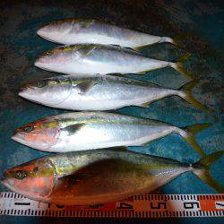 アジアマリンサービス 釣果