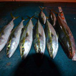 アジアマリンサービス 釣果