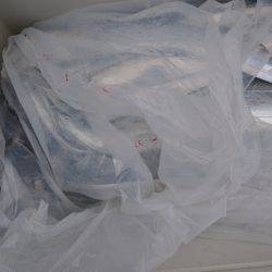 アジアマリンサービス 釣果