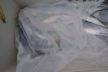 アジアマリンサービス 釣果