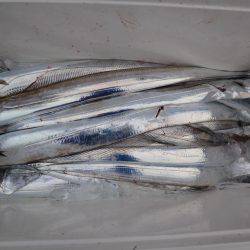 アジアマリンサービス 釣果