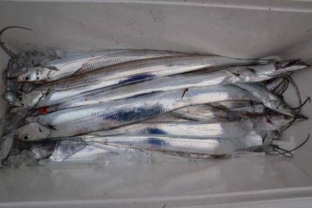 アジアマリンサービス 釣果