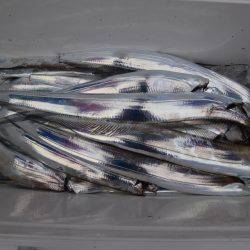 アジアマリンサービス 釣果