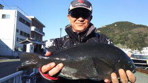 伊豆下田フィッシング 釣果