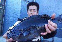 伊豆下田フィッシング 釣果