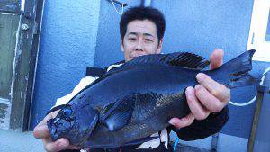 伊豆下田フィッシング 釣果