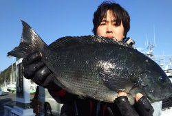 伊豆下田フィッシング 釣果