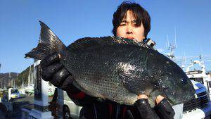 伊豆下田フィッシング 釣果