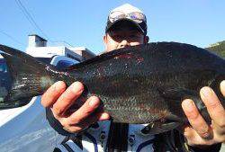 伊豆下田フィッシング 釣果