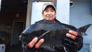 伊豆下田フィッシング 釣果