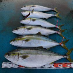 アジアマリンサービス 釣果