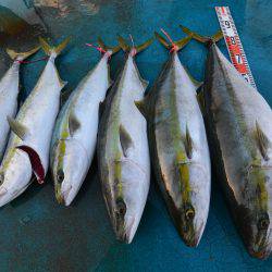 アジアマリンサービス 釣果