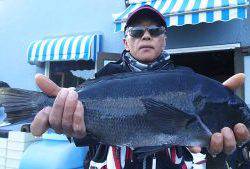 伊豆下田フィッシング 釣果