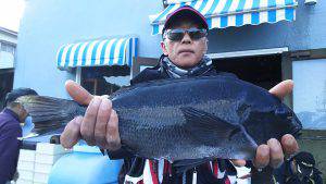 伊豆下田フィッシング 釣果