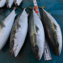 アジアマリンサービス 釣果