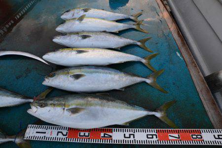 アジアマリンサービス 釣果