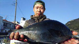 伊豆下田フィッシング 釣果