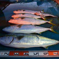 アジアマリンサービス 釣果