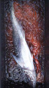 伊豆下田フィッシング 釣果