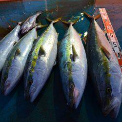 アジアマリンサービス 釣果