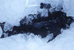 伊豆下田フィッシング 釣果