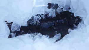 伊豆下田フィッシング 釣果