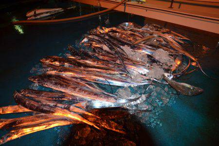 アジアマリンサービス 釣果