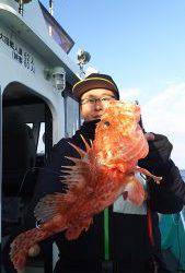 伊豆下田フィッシング 釣果