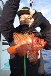 伊豆下田フィッシング 釣果