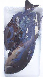 伊豆下田フィッシング 釣果