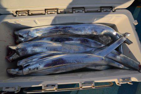 アジアマリンサービス 釣果