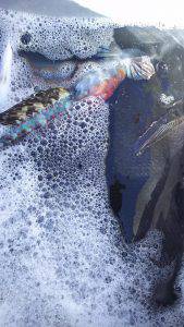 伊豆下田フィッシング 釣果