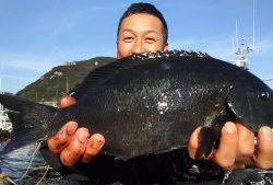 伊豆下田フィッシング 釣果