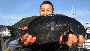 伊豆下田フィッシング 釣果